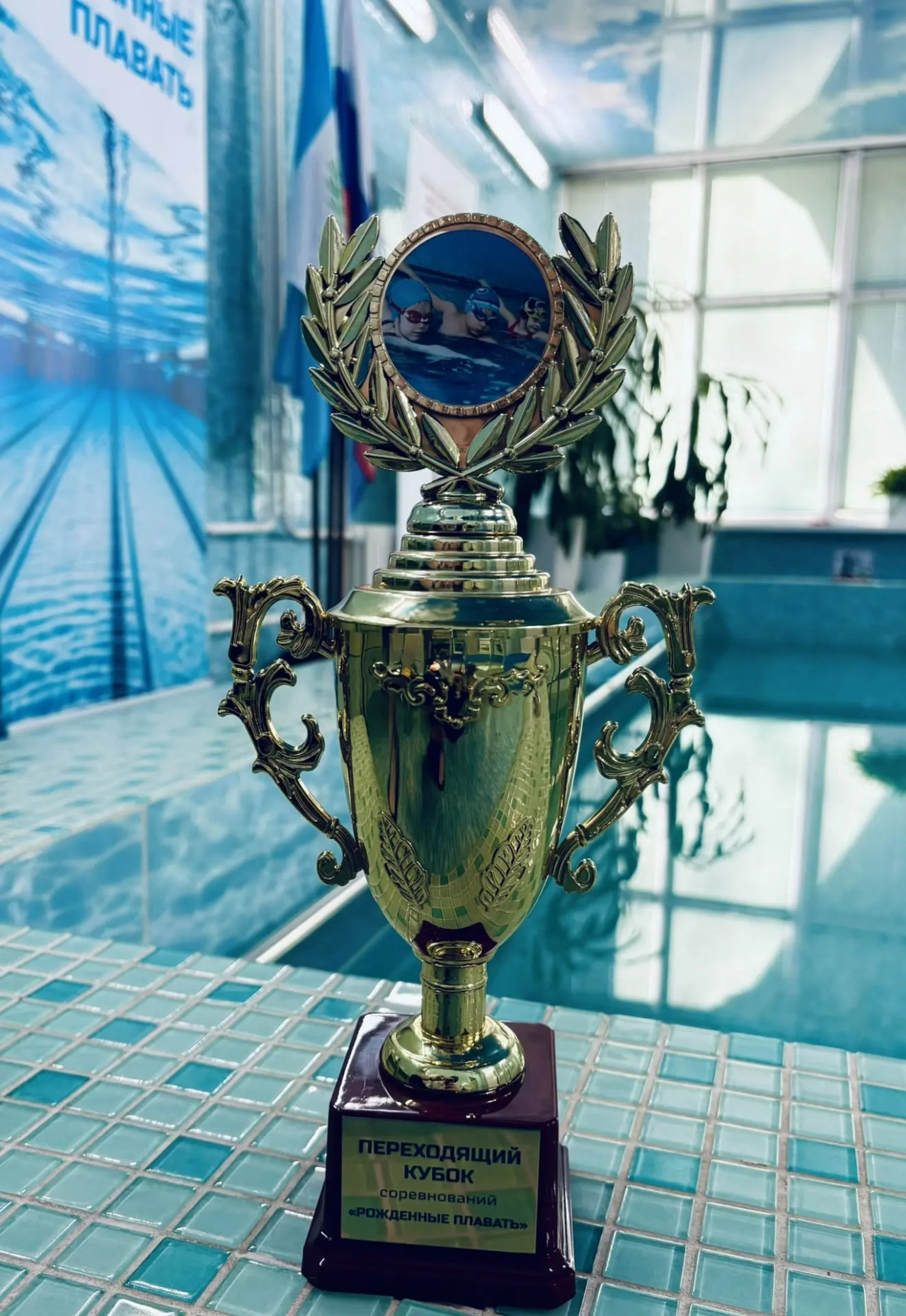 &laquo;Рождённые плавать&raquo;: переходящий кубок &mdash; за нами!