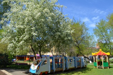 cb98d207