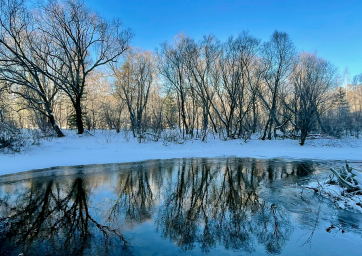 Фото-выставка "Волшебство в снежинках" 11